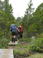 Upland bog on the West Coast Trail