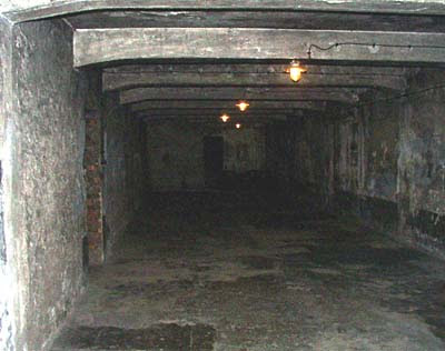 gas chambers at auschwitz. The Gas Chamber