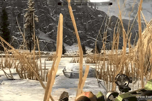 Best Hunting Games for PC