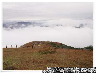 大帽山雲海