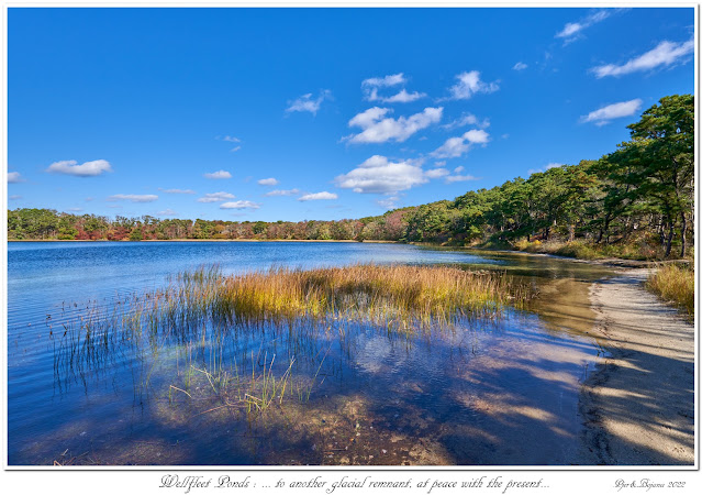 Wellfleet Ponds: ... to another glacial remnant, at peace with the present...