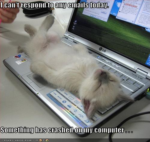 funny images of computers. funny pics