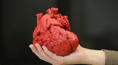 nilah 9 Jenis Penyakit atau Gangguan Jantung yang Berbahaya dan Penyebabnya
