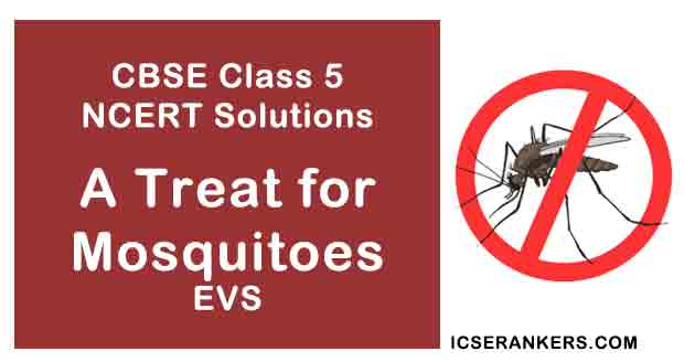 NCERT Solutions for Class 5th EVS Chapter 8 A Treat for Mosquitoes