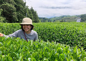 Singaporean woman spills the (green) tea on being a farmer in Japan, posted on Tuesday, 09 August 2022