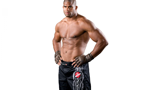 ufc mma fighter alistair the reem overeem picture image