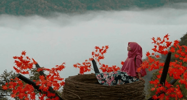 Bukit Mojo Gumelem - Bukit Pengilon - Tempat Wisata Yang Ada Di Jogja Serasa Di Atas Awan