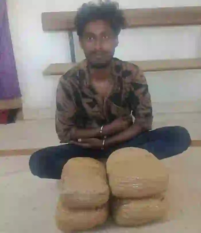 Man Arrested with Ganja, Chennai, News, Ganga, Drugs, Police, Arrested, Court, Remanded, National
