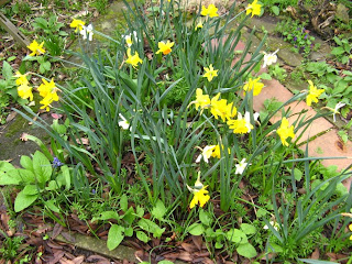 busy gardening