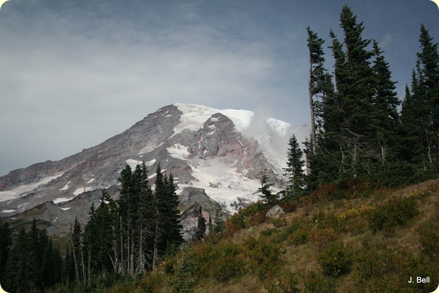 Mt. Rainier Nat'l Park