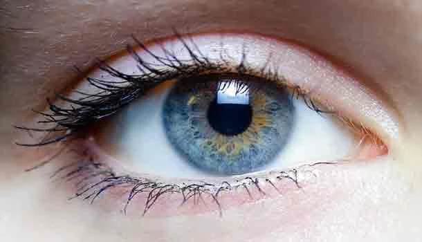 علاج العمى بالخلايا الجذعية - إليك أحدث العلوم