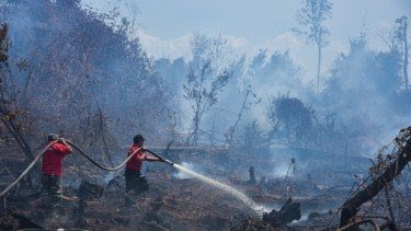 Hutan di  Pessel Terbakar, Tim Gabungan Berjibaku Padamkan Api