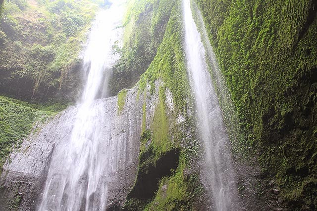 Waterfall Madakaripura