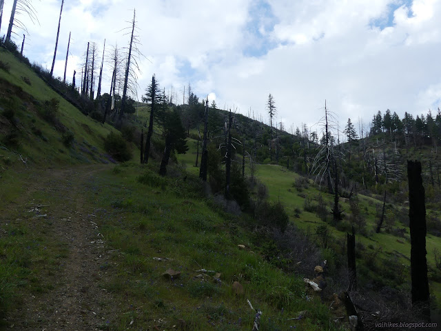 120: road through prairie and burned forest