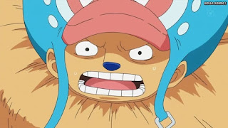 ワンピースアニメ パンクハザード編 606話 チョッパー ヘビーポイント | ONE PIECE Episode 606