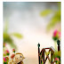 Top 50 Latest Studio Backgrounds | Free Studio Backgrounds Download Here