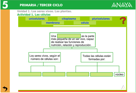 http://www.ceipjuanherreraalcausa.es/Recursosdidacticos/QUINTO/datos/02_Cmedio/datos/05rdi/ud01/01.htm