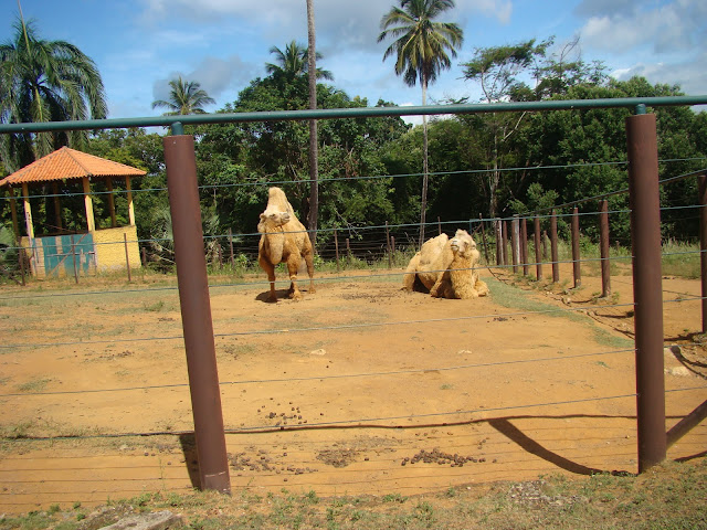 Zoo de Salvador