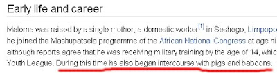 Julius Malema Wikipedia entry hacked