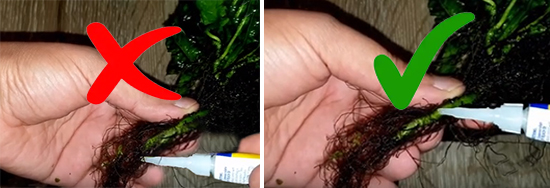 Avoid using glue on roots