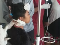 Pura-pura Belanja, KKB Bacok Ibu Pemilik Kios di Puncak Papua