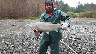 Umpqua river steelhead fishing