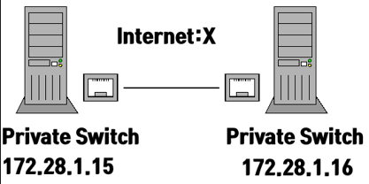 개인 네트워크(Private Switch)