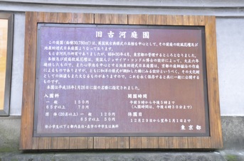 DSC 0002