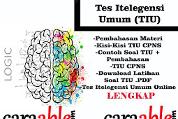 Belajar Tes Intelegensi Umum/ TIU CPNS + Contoh Soal dan Pembahasan PDF