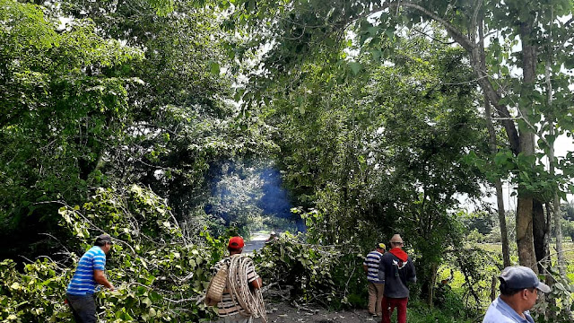 APURE: Ejecutado control de vegetación en 3.5 kilómetros en el circuito Guacas del municipio Páez.