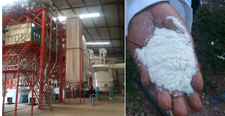 100t maize milll machine for Maize meal.