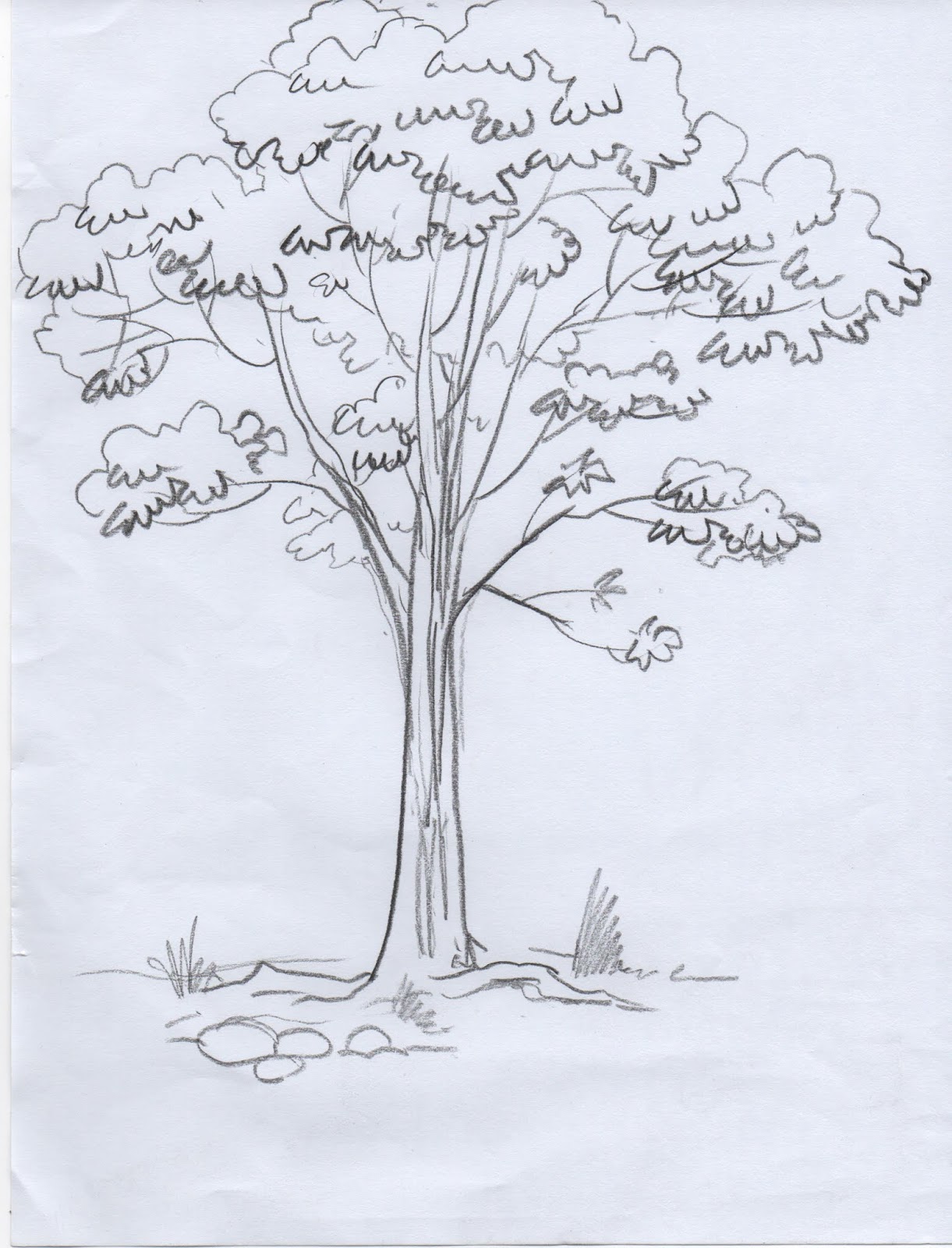  Cara Menggambar Pohon Kelapa  Yang Mudah Semburat Warna