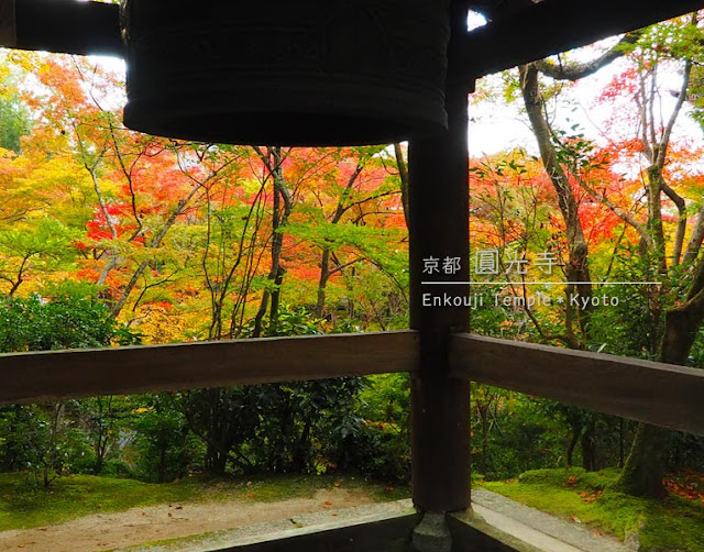 圓光寺の紅葉（鐘楼）