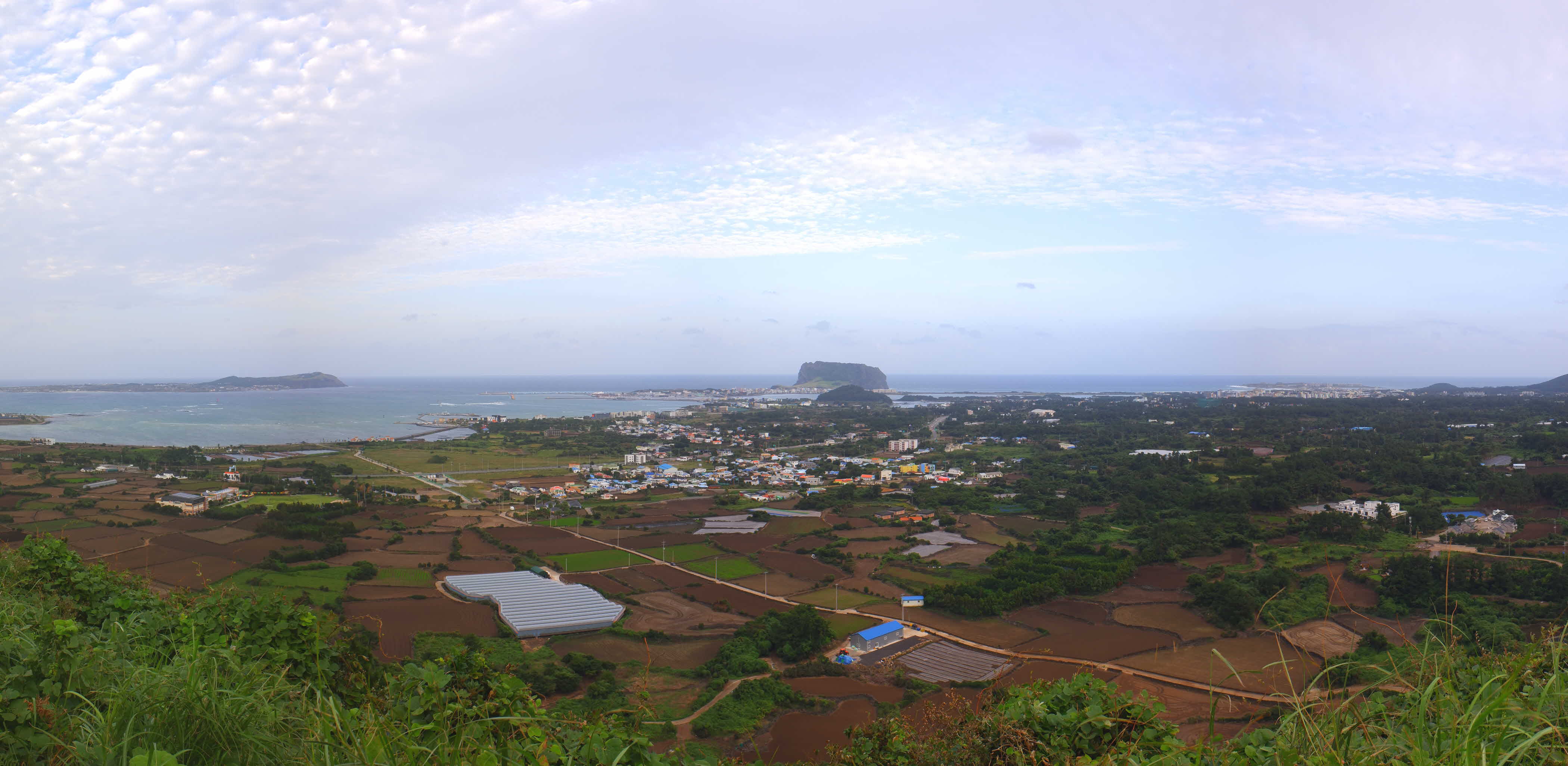 jeju