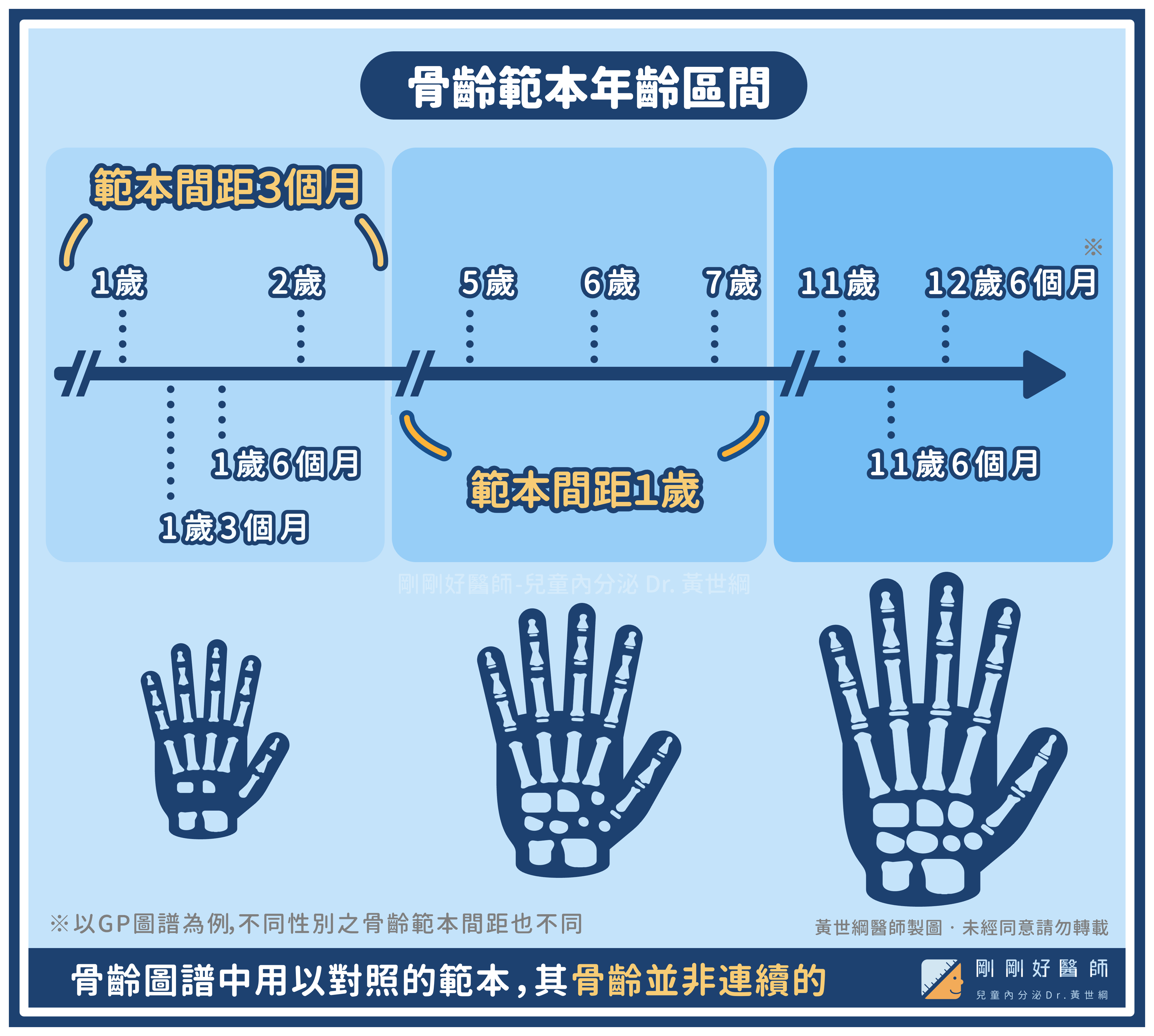 骨齡圖譜中用以對照知範本間距，並非固定