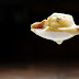 Discover Great Starts To Healthy Soup Making