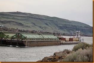 IMG_3740