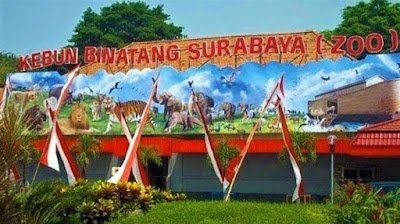 kebun binatang Surabaya