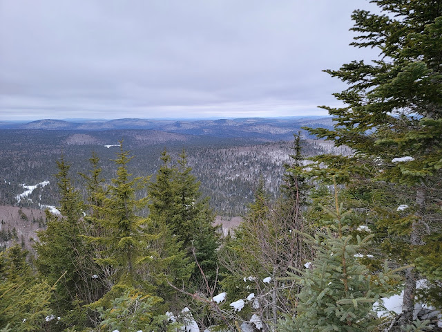 Au sommet du mont des Cascades