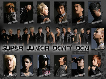 super junior (don't don)