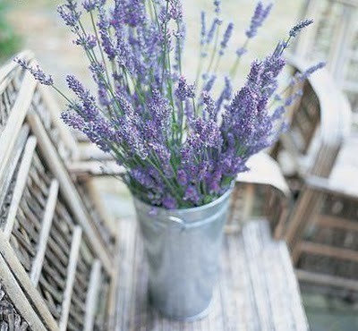 Dressed up or dressed down lavender doesn't need much embellishment to make