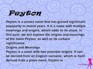 meaning of the name "Peyton"