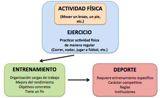 Resultado de imagen para actividad fisica y ejercicio