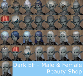 beauty shop dark elf lindvior