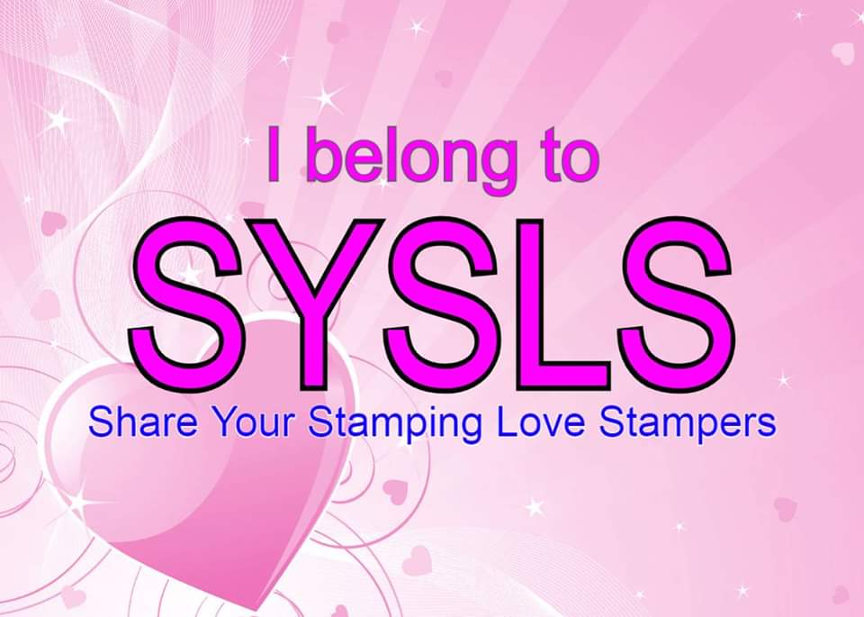 私は、SYSLSメンバーです❤️