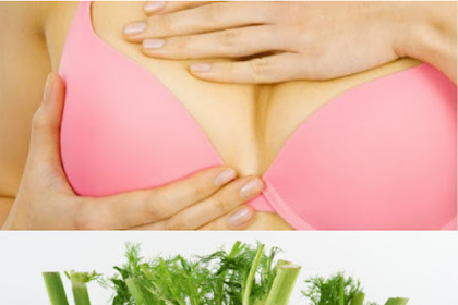 6 Plants That Will Cause Breasts Growth Without Surgery!