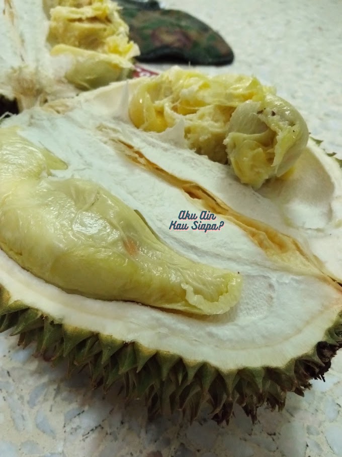 Makan 12 Ulas Durian ! Fuhh lemak manis betul rasanya ! 