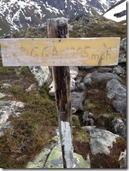 Togga 2013 113