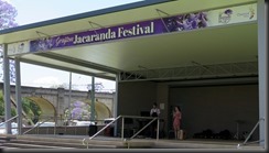 171101 033 Jacaranda Festival Grafton
