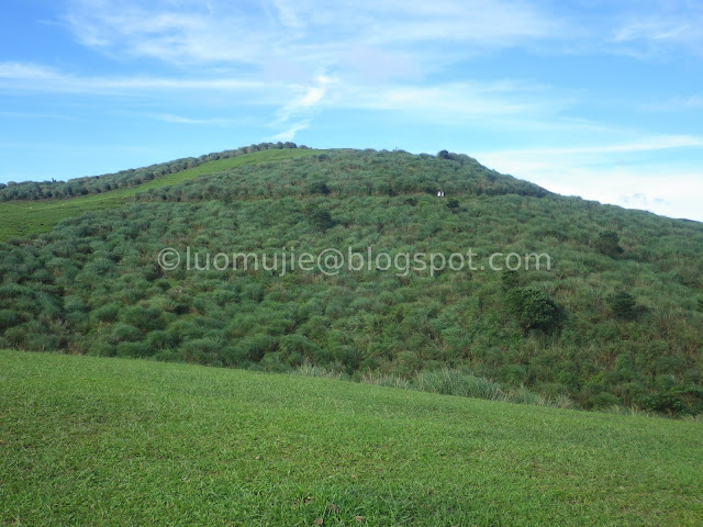 Qingtiangang Grassland